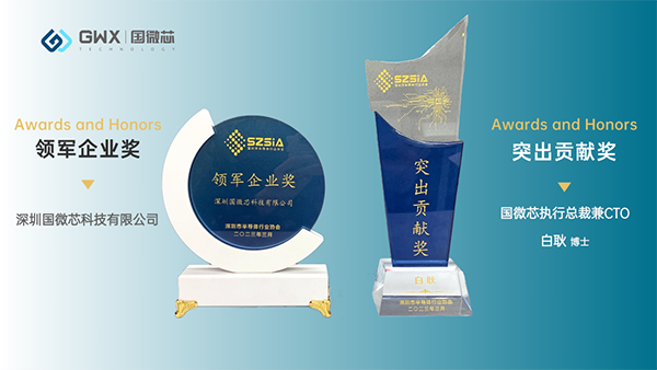 喜訊，國微芯再獲兩項(xiàng)大獎(jiǎng)！